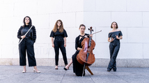 ensemble in transition: Echo:Reflexion
