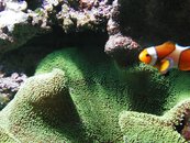 08_019.jpg